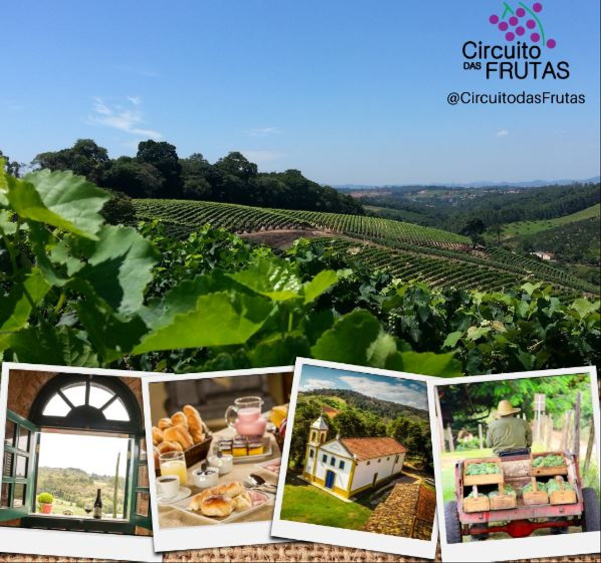 CIRCUITO DAS FRUTAS, PRÓXIMO A  SÃO PAULO É EXPOSITOR CONFIRMADO DA FESTURIS 2021